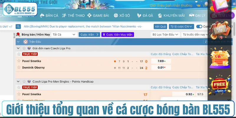 Giới thiệu tổng quan về cá cược bóng bàn BL555